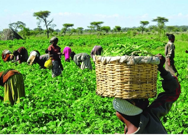 CS Agro Mission